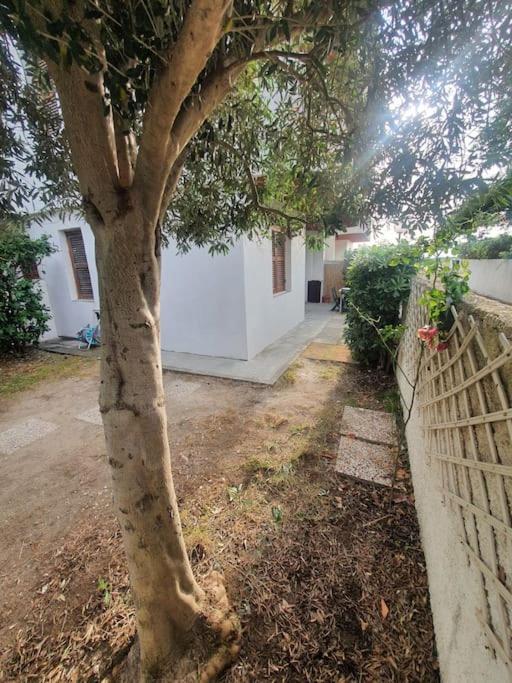 Ccc Holiday Properties Le Vele Ccc Montalto di Castro Εξωτερικό φωτογραφία