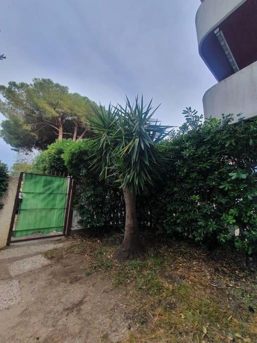 Ccc Holiday Properties Le Vele Ccc Montalto di Castro Εξωτερικό φωτογραφία
