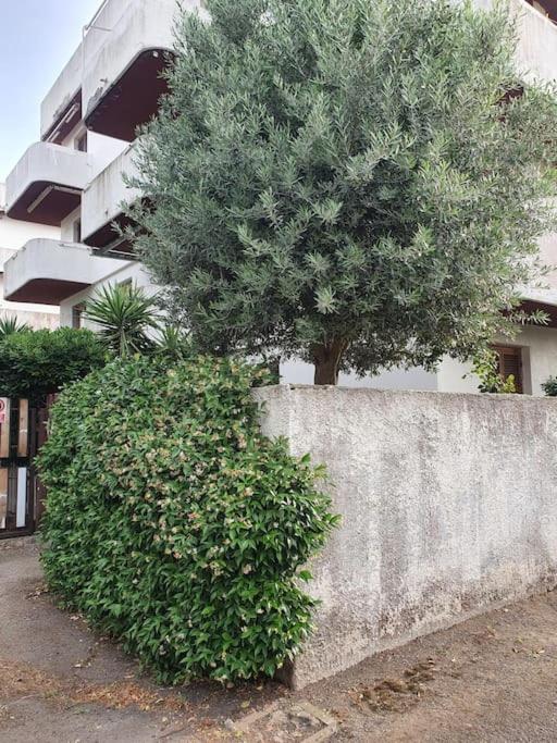 Ccc Holiday Properties Le Vele Ccc Montalto di Castro Εξωτερικό φωτογραφία