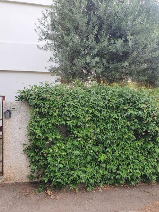 Ccc Holiday Properties Le Vele Ccc Montalto di Castro Εξωτερικό φωτογραφία