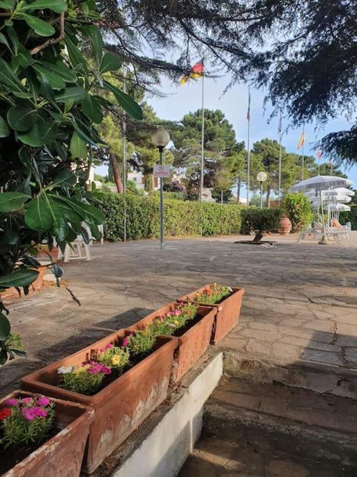 Ccc Holiday Properties Le Vele Ccc Montalto di Castro Εξωτερικό φωτογραφία